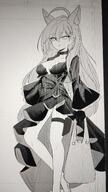 animal_ears artist:eiraku_tee character:shiroko_terror_(blue_archive) halo heterochromia in-series_category:abydos_high_school in-series_category:foreclosure_task_force meta:work-in-progress monochrome series:blue_archive wolf_ears wolf_girl // 2296x4080 // 1.6MB