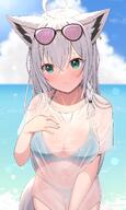 animal_ears character:shirakami_fubuki fox_ears fox_girl in-series_category:gamers in-series_category:generation_1 in-series_category:hololive_japan meta:artist_request meta:source_request meta:tagme series:hololive // 2159x3600 // 573KB