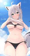 animal_ears character:shirakami_fubuki fox_ears fox_girl in-series_category:gamers in-series_category:generation_1 in-series_category:hololive_japan meta:artist_request meta:source_request meta:tagme series:hololive // 640x1176 // 569KB