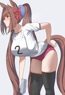 alternate_outfit animal_ears artist:borghestbot bloomers brown_hair character:daiwa_scarlet hair_bow horse_ears horse_girl horse_tail long_hair meta:source_request ponytail red_eyes series:uma_musume:_pretty_derby sports_wear tail // 2814x4096 // 639KB