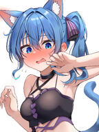 alternate_outfit animal_ears artist:micon blue_eyes blue_hair cat_ears cat_girl cat_tail character:hoshimachi_suisei ears_blushing flushed_face in-series_category:generation_0 in-series_category:hololive_japan midriff series:hololive short_hair side_ponytail tail // 3069x4093 // 4.5MB