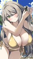 artist:mizumo_k1 brown_hair character:nonomi_(blue_archive) character:nonomi_(swimsuit)_(blue_archive) green_eyes halo in-series_category:abydos_high_school in-series_category:foreclosure_task_force long_hair series:blue_archive swimsuit // 2000x3541 // 3.7MB