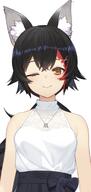 animal_ears character:ookami_mio in-series_category:gamers in-series_category:hololive_japan meta:artist_request meta:source_request meta:tagme series:hololive wolf_ears wolf_girl // 828x1756 // 1.2MB