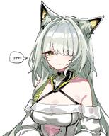 animal_ears artist:oqawmet cat_ears cat_girl character:doctor_(arknights) character:kal'tsit_(arknights) character:kal'tsit_esperanta_(arknights) green_eyes hair_covering_eye in-series_category:feline in-series_category:rhodes_island japanese_text long_hair pov series:arknights white_hair // 2400x3000 // 2.1MB