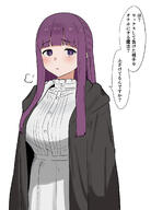 artist:nonjikaku character:fern japanese_text long_hair purple_eyes purple_hair series:sousou_no_frieren // 1294x1800 // 580KB
