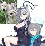 animal_ears artist:lilac_n_halo blue_eyes character:shiroko_(blue_archive) character:shiroko_terror_(blue_archive) dress grey_hair hair_accessories halo heterochromia in-series_category:abydos_high_school in-series_category:foreclosure_task_force long_hair series:blue_archive short_hair wolf_ears wolf_girl // 749x766 // 110KB