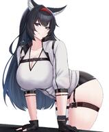 animal_ears artist:kanta cat_ears cat_girl character:blaze_(arknights) in-series_category:columbia in-series_category:elite_operator in-series_category:feline in-series_category:rhodes_island meta:source_deprecated series:arknights // 3399x4096 // 792KB